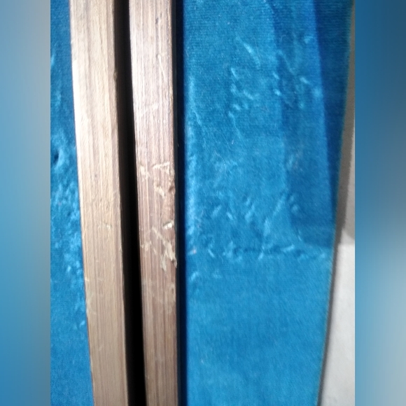 Antique 1800's  French Fashion REVUE DE LA MODE signed & numbered framed set - Picture 13 of 16